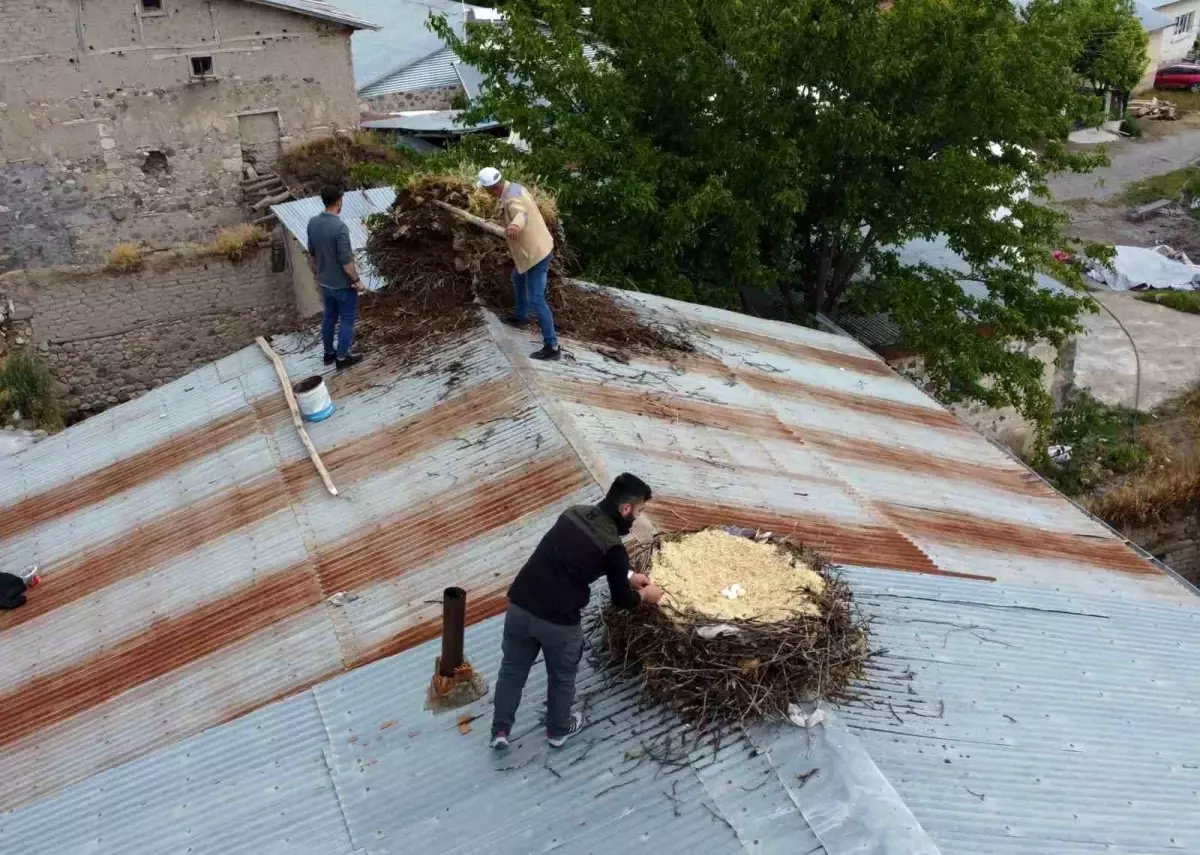 Tunceli\'de Hasarlı Yapıların Yıkımı Sırasında Leylek Yuvaları Taşındı