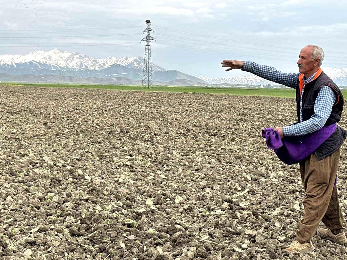 Hakkari Yüksekova\'da Çiftçilerin Ekim Mesaisi Başladı