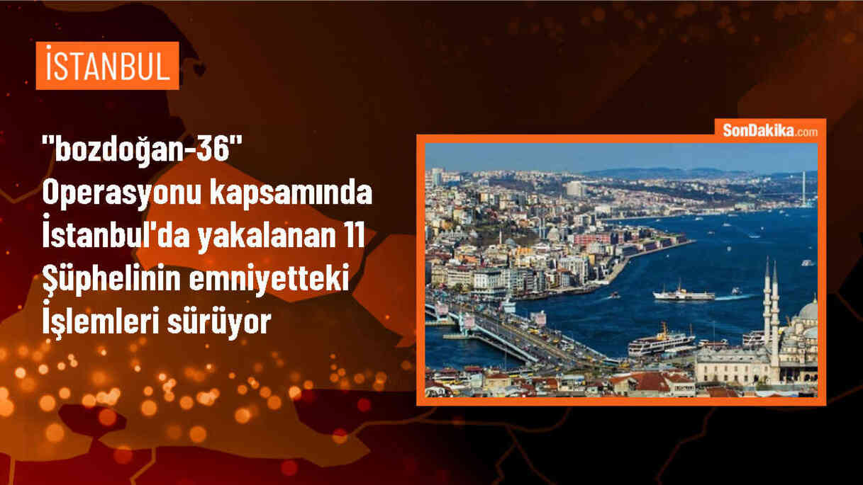 İstanbul\'da PKK/KCK operasyonunda 11 şüpheli yakalandı