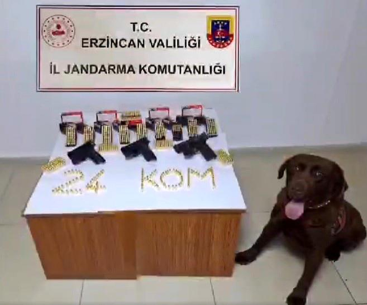 Erzincan\'da silah kaçakçısı yakalandı, kaçak silahlar ele geçirildi