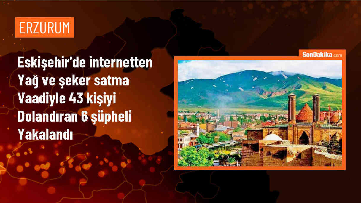 Eskişehir\'de İnternet Dolandırıcılığı Operasyonu: 43 Kişi Mağdur