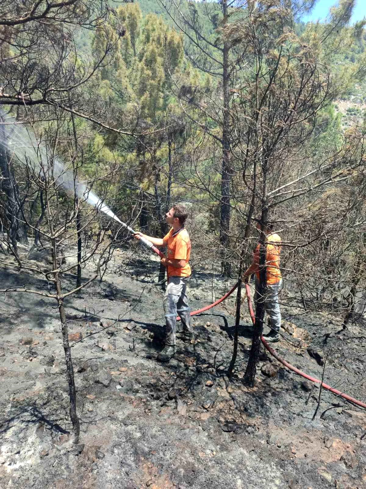 Antalya\'da Orman Yangını Kontrol Altına Alındı