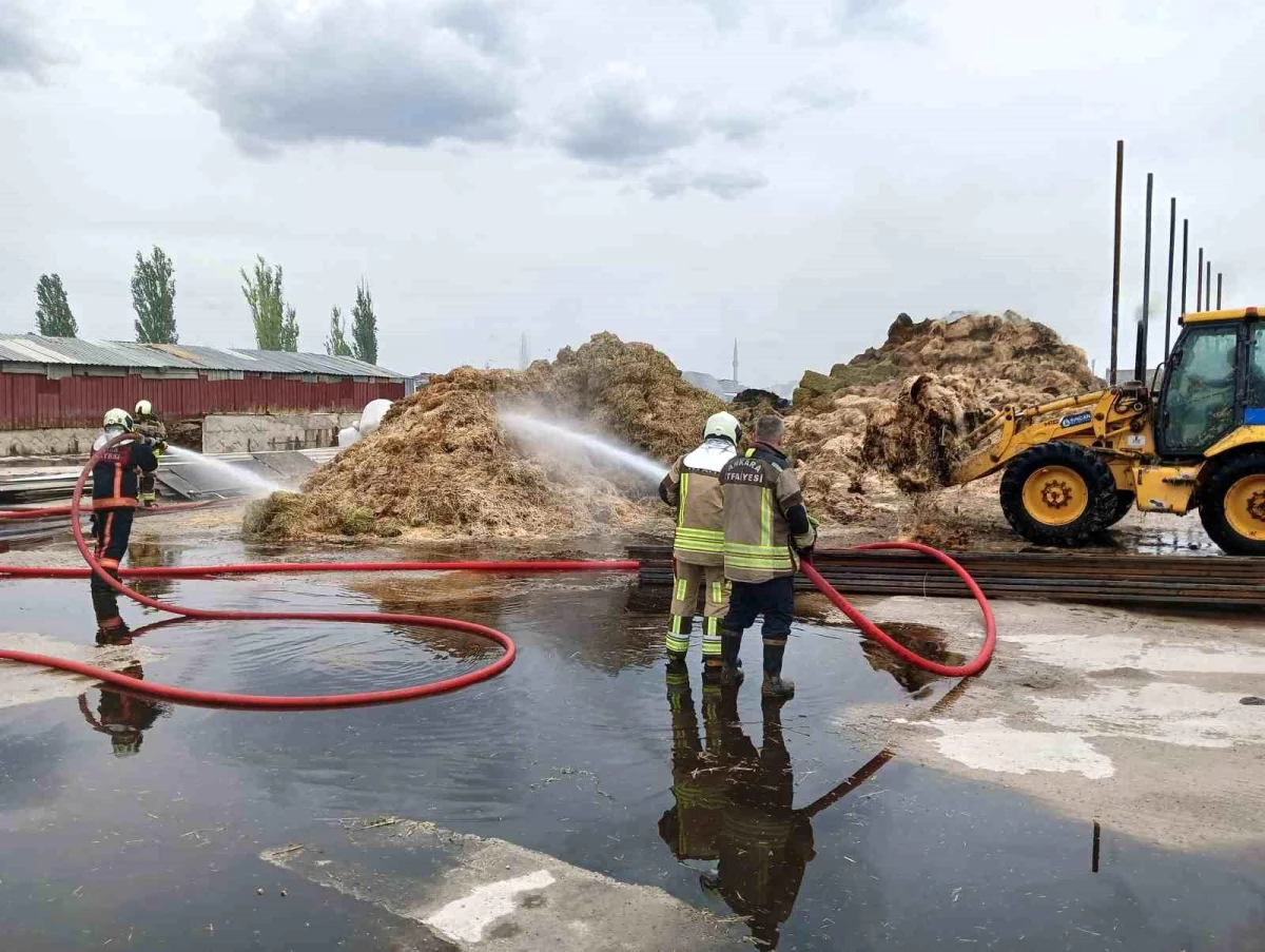 Ankara\'da Besi Çiftliğinde Yangın Çıktı