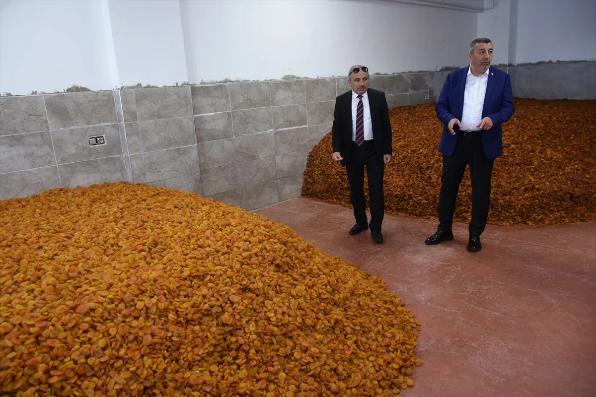 Malatya\'da Recep Tayyip Erdoğan Dünya Kayısı Ticaret Merkezi açıldı