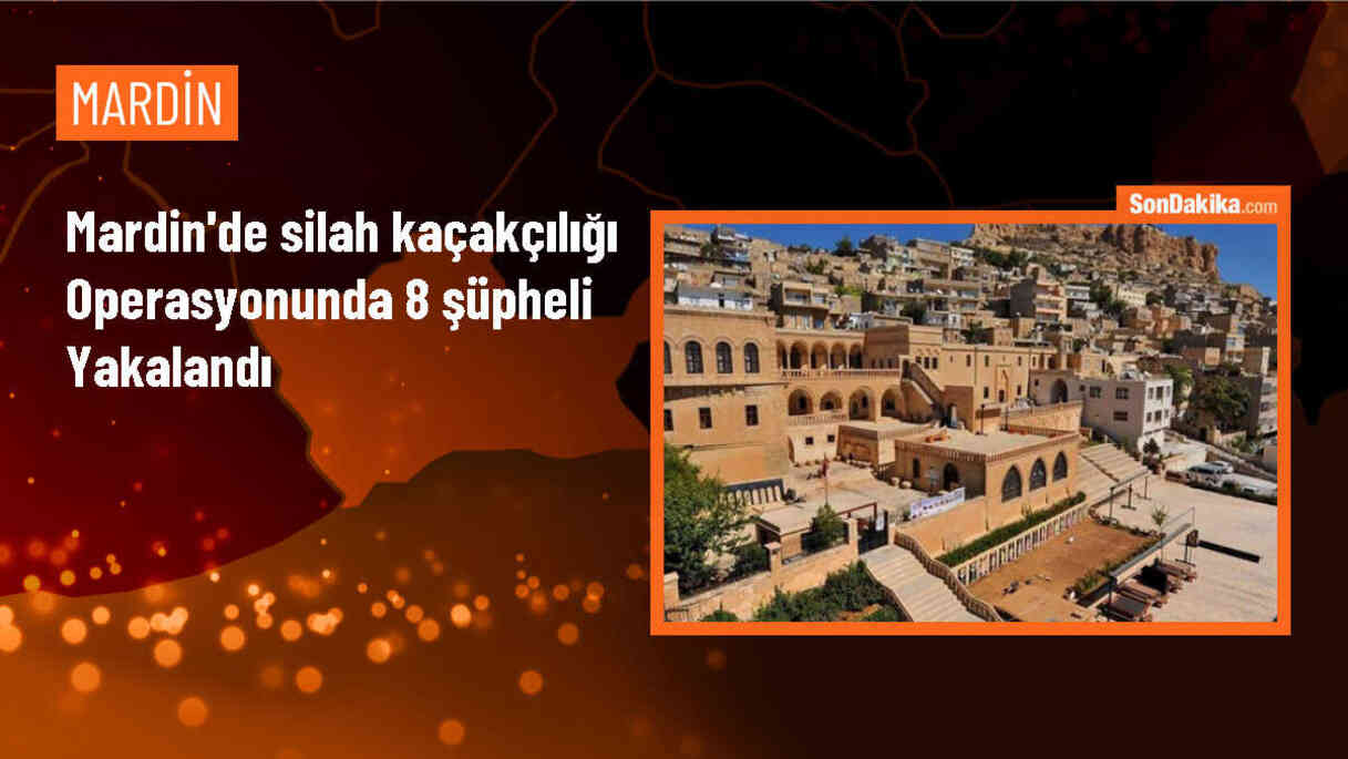 Mardin\'de silah kaçakçılığı operasyonunda 8 şüpheli gözaltına alındı
