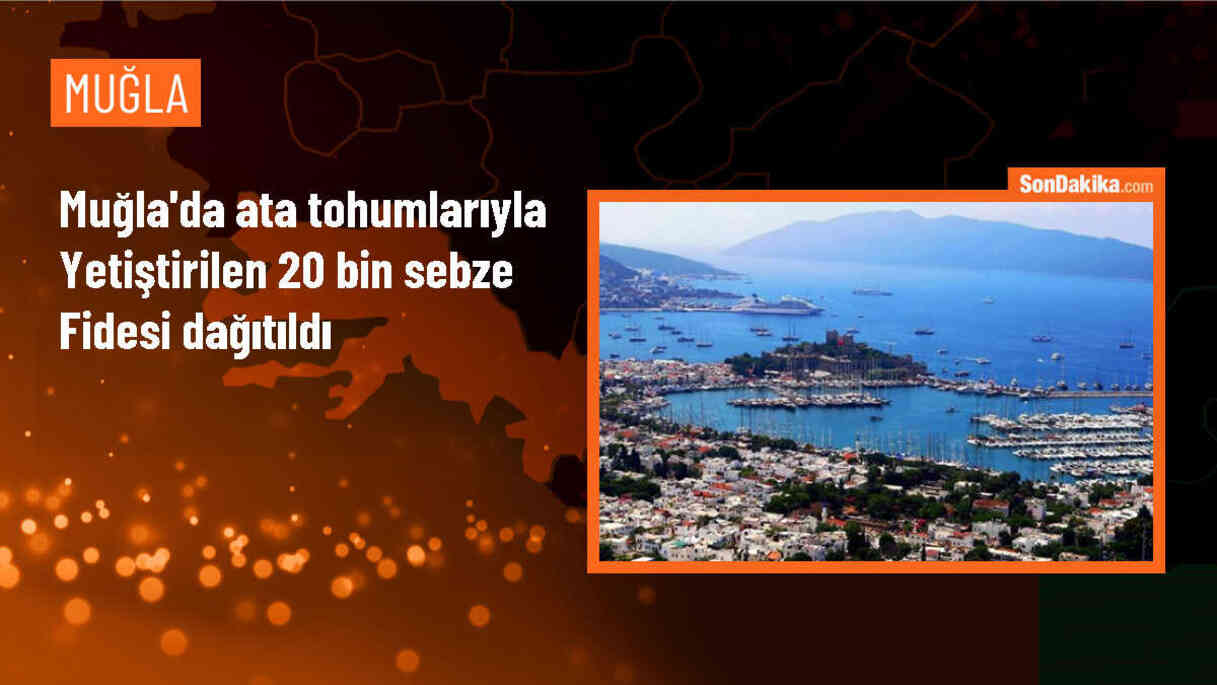 Muğla\'da Ata Tohumlarından Üretilen 20 Bin Sebze Fidesi Dağıtıldı