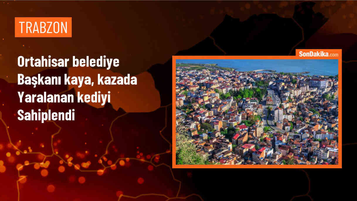 Ortahisar Belediye Başkanı Ahmet Kaya, yaralanan sahipsiz kedinin bakımını üstlendi