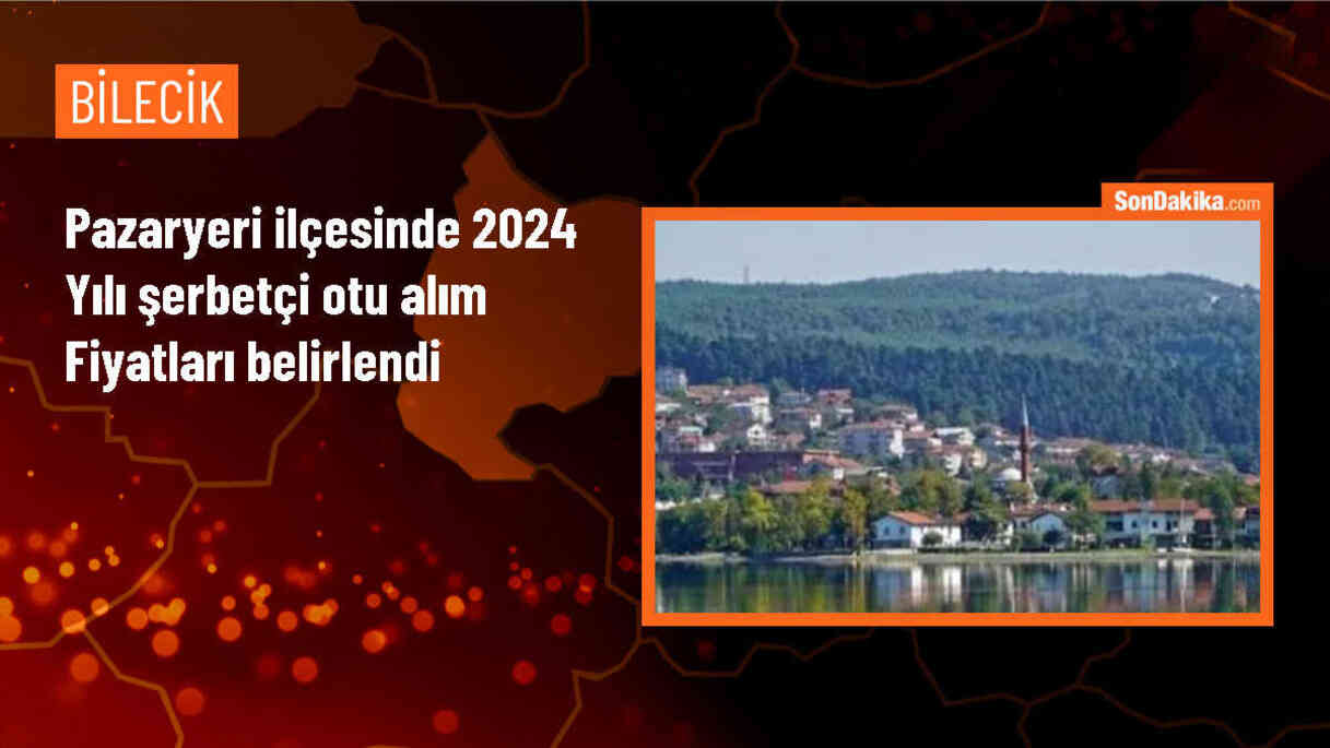Pazaryeri\'de Şerbetçi Otu Alım Fiyatları Açıklandı