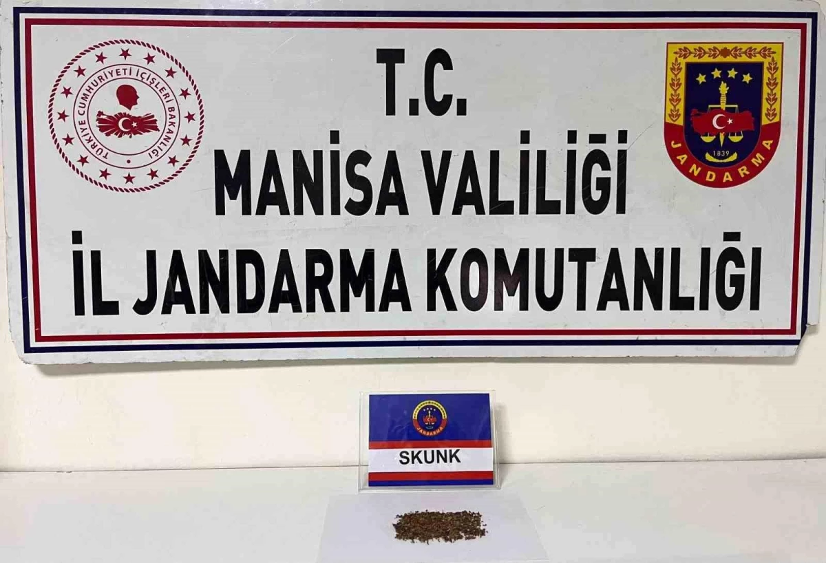 Manisa\'da Jandarma ekipleri şüpheli şahsın üzerinden 8,6 gram Skunk ele geçirdi