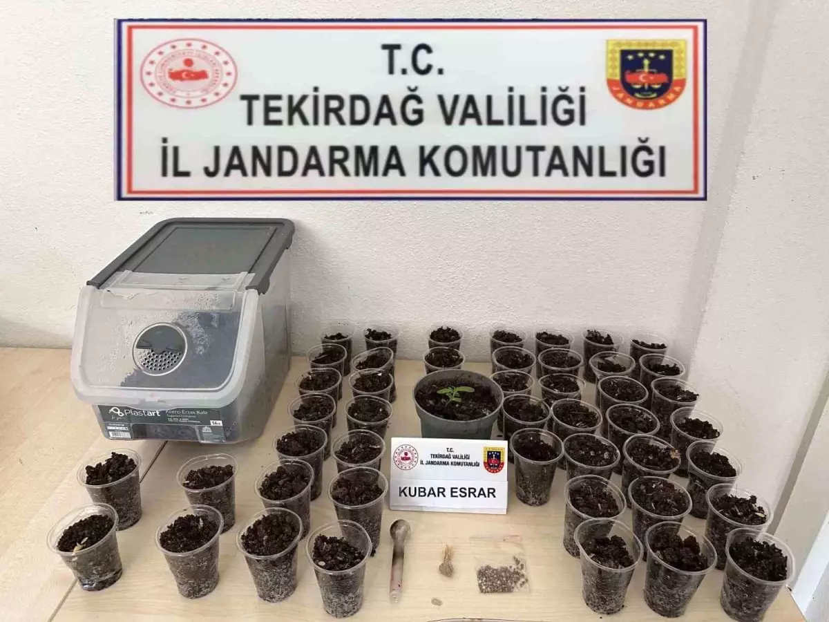 Tekirdağ\'da Uyuşturucu ve Silah Operasyonu: Ele Geçirilen Malzemeler