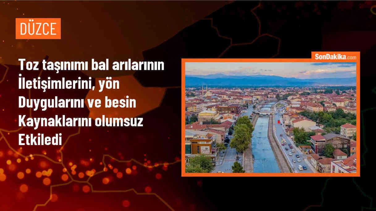 Toz Taşınımı Bal Arılarını Olumsuz Etkiliyor