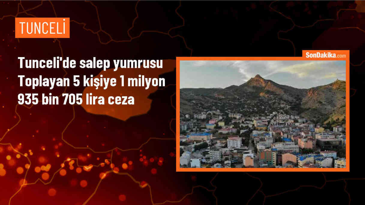 Tunceli\'de Kaçak Salep Yumrusu Toplayanlara 1 Milyon 935 Bin 705 Lira Cezası