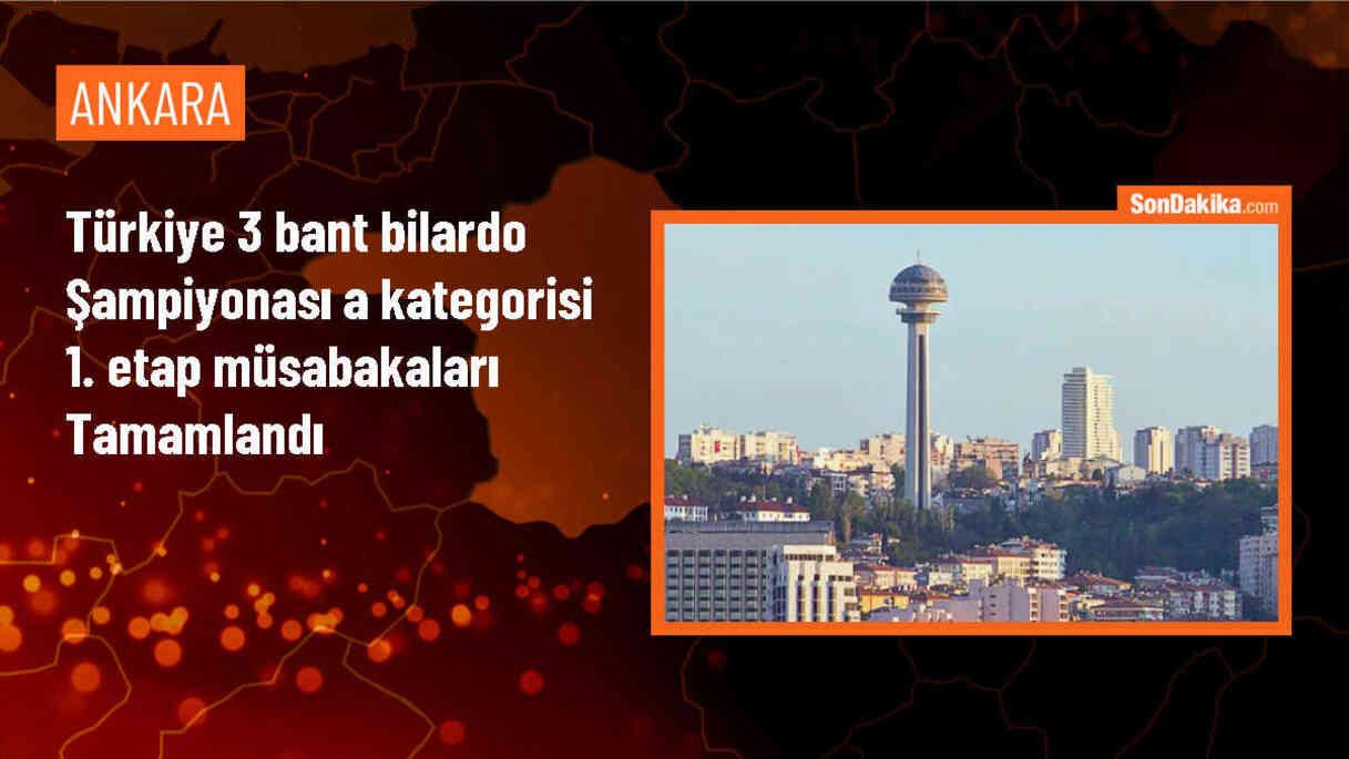 Yılmaz Özcan Türkiye 3 Bant Bilardo Şampiyonası\'nda birinci oldu