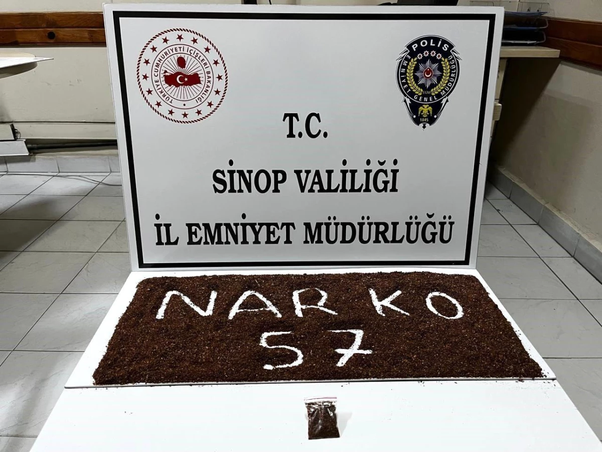 Sinop\'ta Durumundan Şüphelenilen Araçta Yarım Kilogram Bonzai Ele Geçirildi
