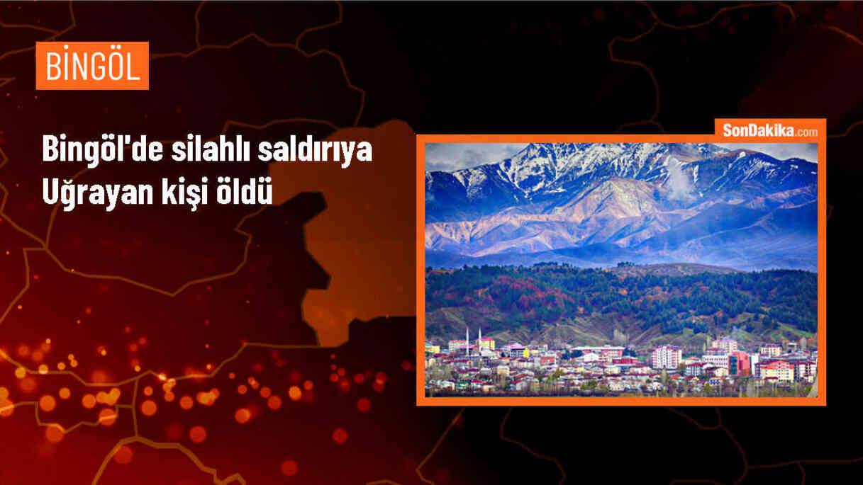 Bingöl\'de silahlı saldırı sonucu bir kişi hayatını kaybetti