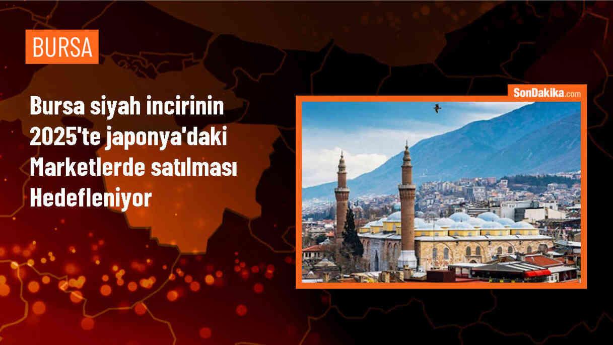 Bursa Siyah İnciri 2025 Yılında Japon Marketlerinde Satılacak