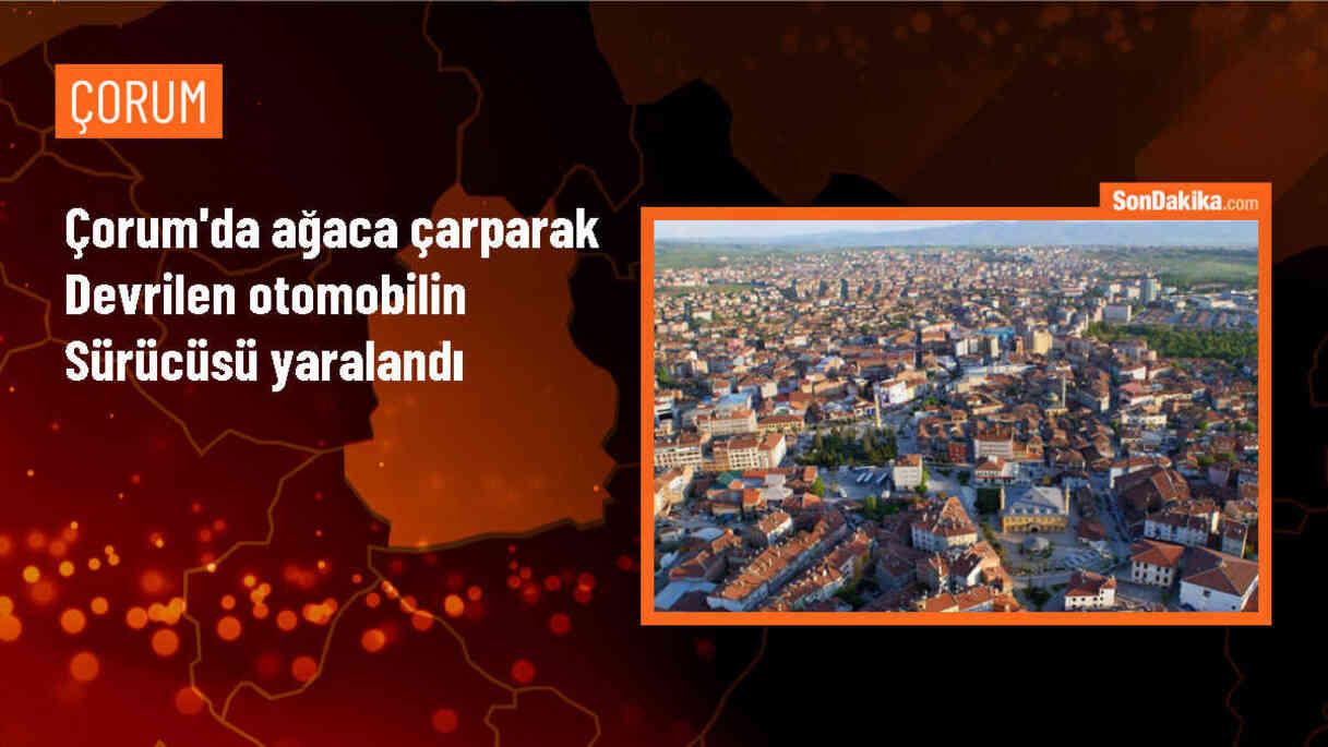 Çorum\'da Otomobil Ağaca Çarptı: 1 Yaralı