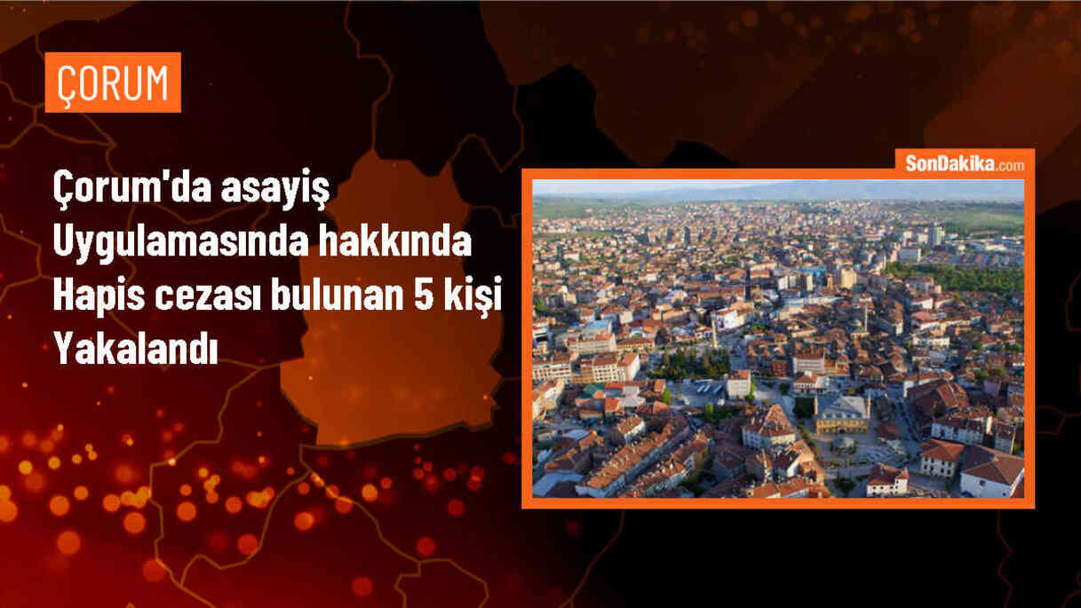 Çorum\'da Asayiş ve Trafik Uygulamalarında 5 Kişi Yakalandı