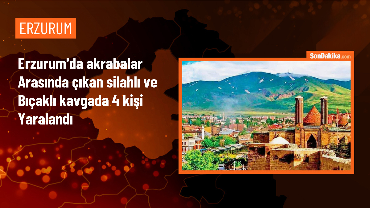 Erzurum\'da akrabalar arasında çıkan kavgada 4 kişi yaralandı