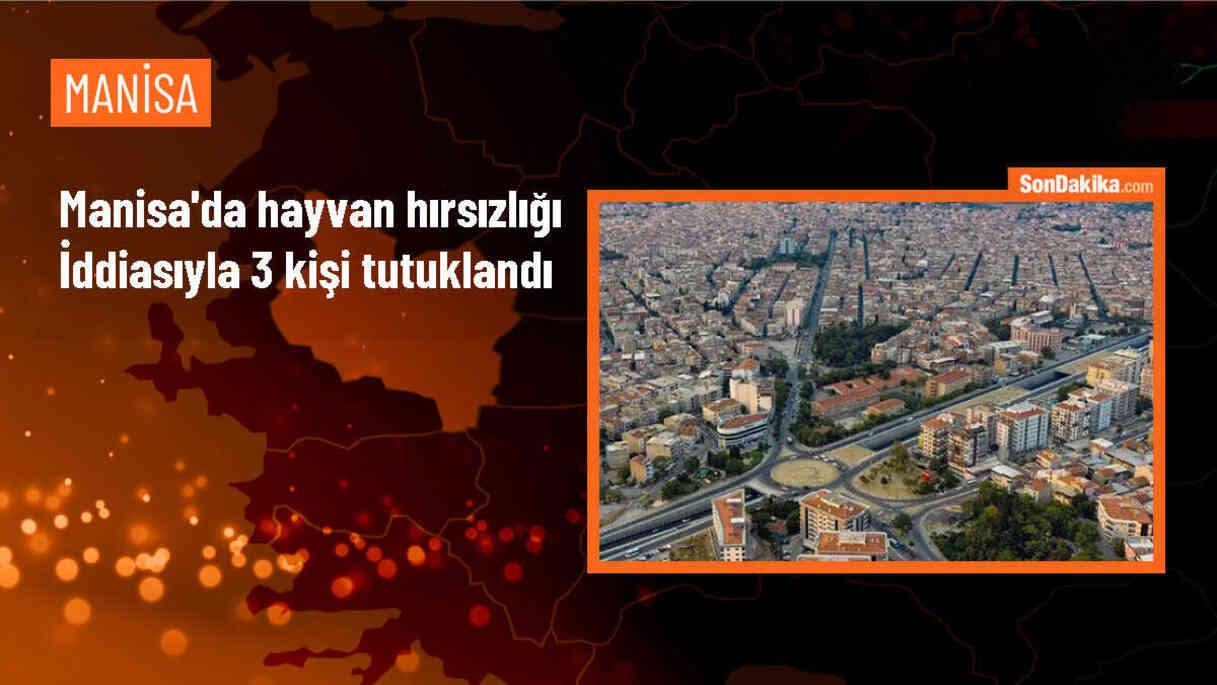 Manisa\'da hayvan hırsızlığı yapan 3 şüpheli tutuklandı