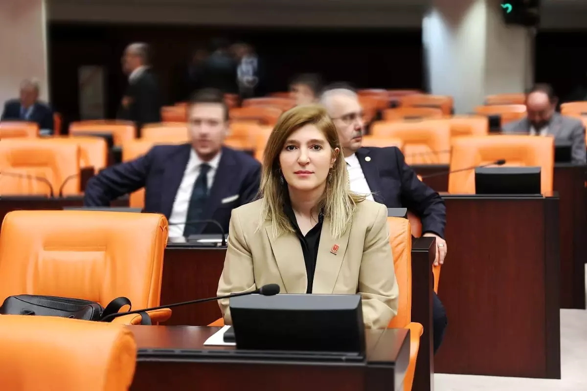 AK Parti Milletvekili: Gazze ve Kudüs sadece Filistinlilerin meselesi değil