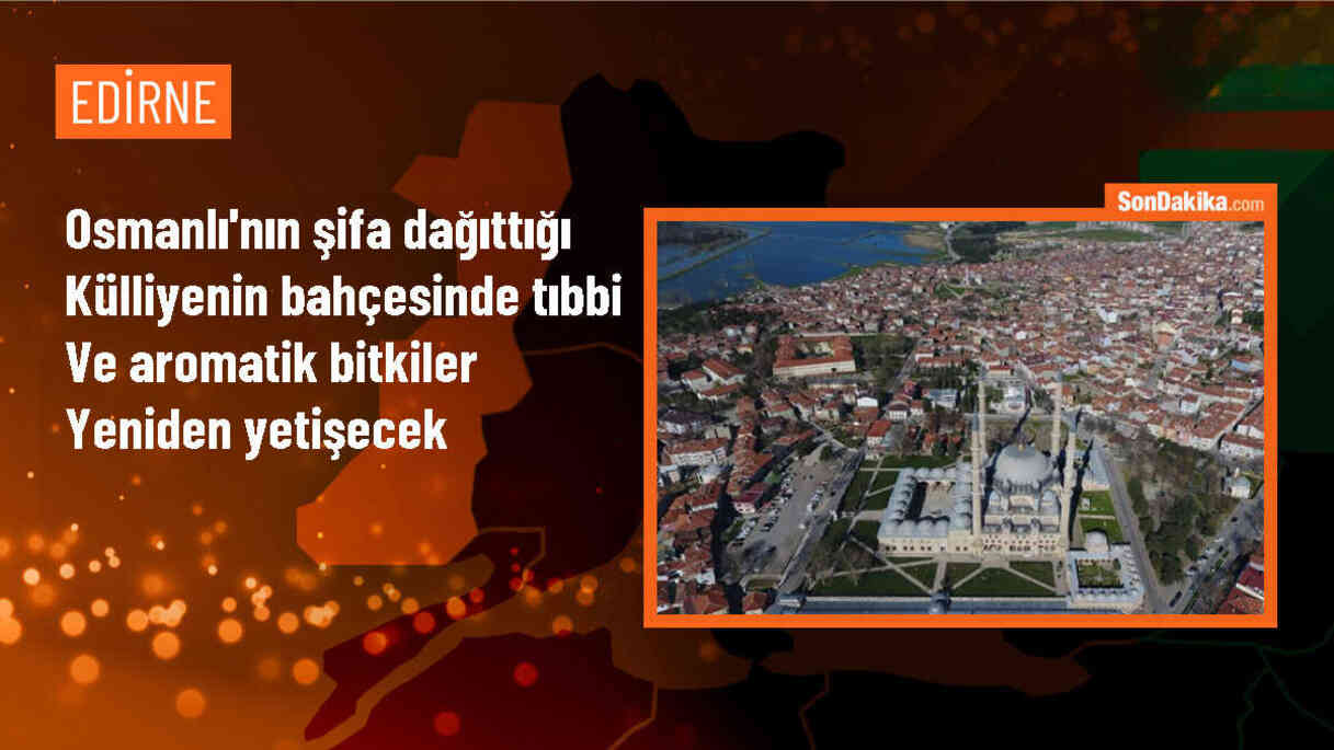 Trakya Üniversitesi Sultan II. Bayezid Külliyesi\'nde Tıbbi ve Aromatik Bitkiler Bahçesi Oluşturdu