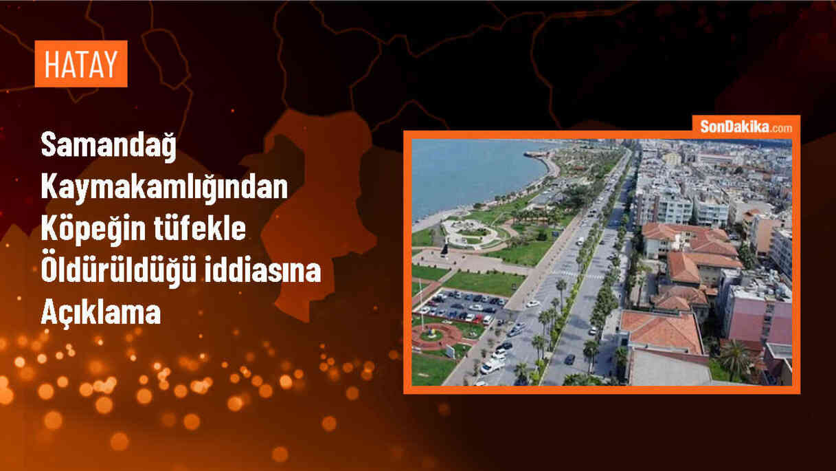 Samandağ\'da köpeğin tüfekle öldürülmesi olayıyla ilgili çalışma başlatıldı