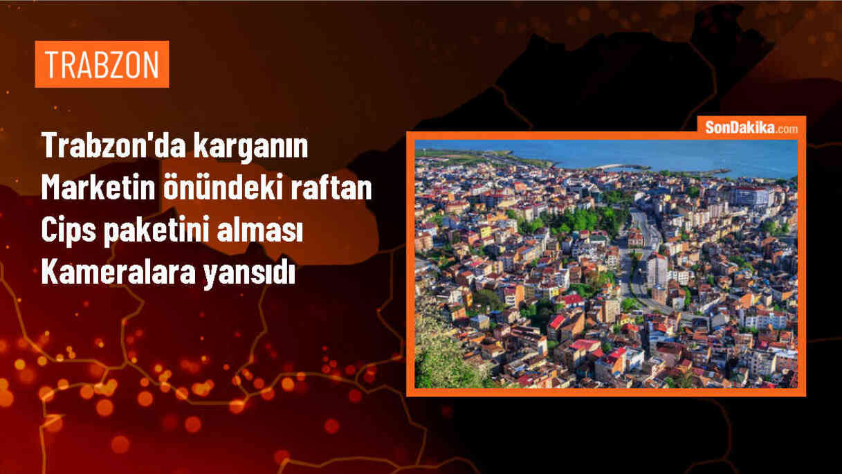 Trabzon\'da Bir Karga Marketten Cips Paketi Çaldı