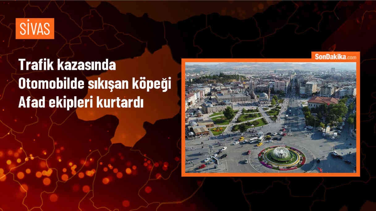 Sivas\'ta meydana gelen kazada 2 kişi yaralandı, sıkışan köpek AFAD tarafından kurtarıldı