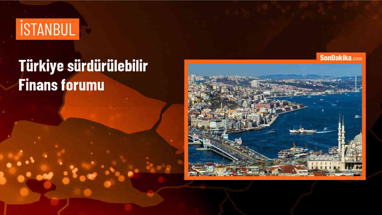 TBB Başkanı: Gelişmekte olan ülkelerde yeşil finansman olanaklarının artırılması hayati önem taşıyor