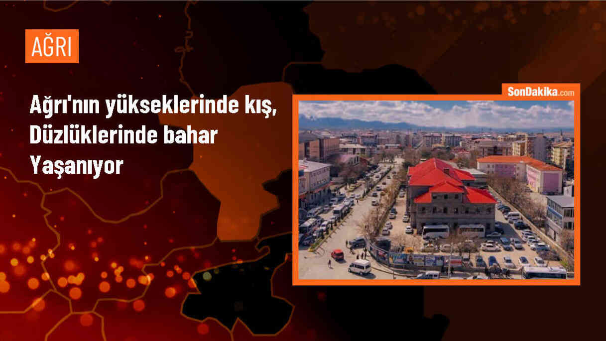 Ağrı\'da Karlı Dağlar ve Bahar Çiçekleri