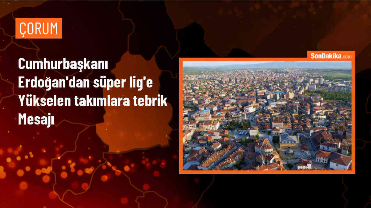 Cumhurbaşkanı Erdoğan, Eyüpspor ve Göztepe\'yi tebrik etti