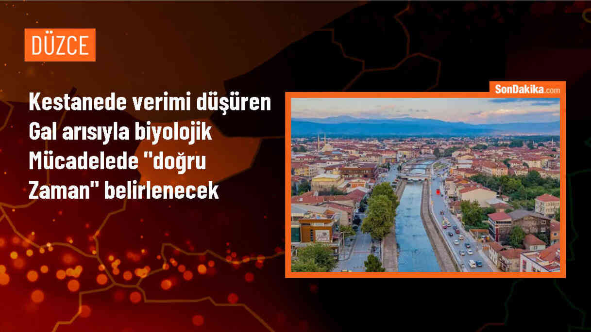 DÜ Biyoloji Bölümü, gal arısıyla mücadele için çalışma başlattı