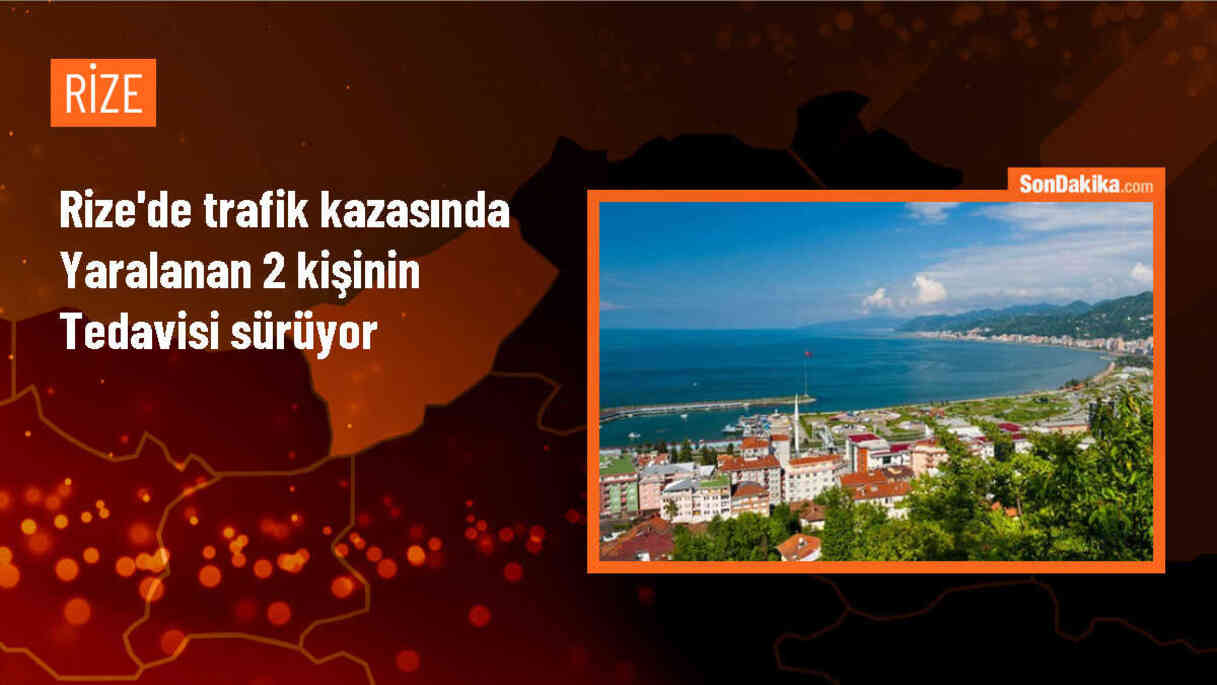 Rize\'de otomobilin çarpması sonucu yaralanan yabancı uyruklu 2 kişinin tedavisi devam ediyor