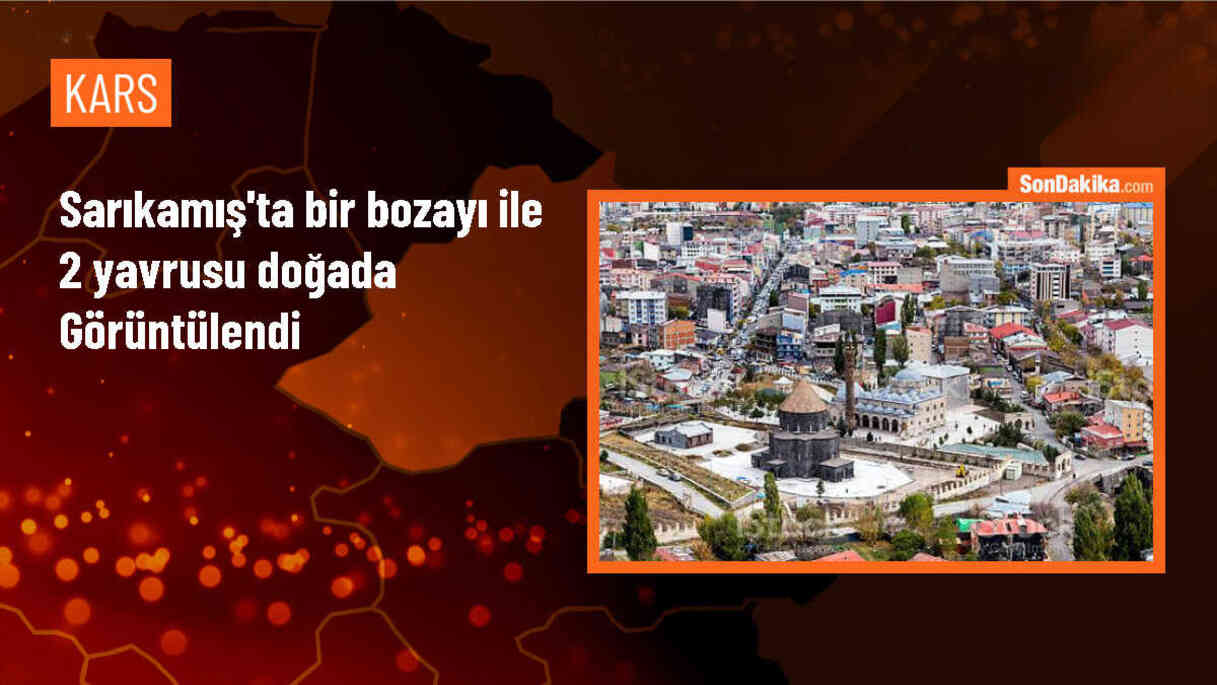 Sarıkamış\'ta Bahara Uyanan Bozayı ve Yavruları Görüntülendi
