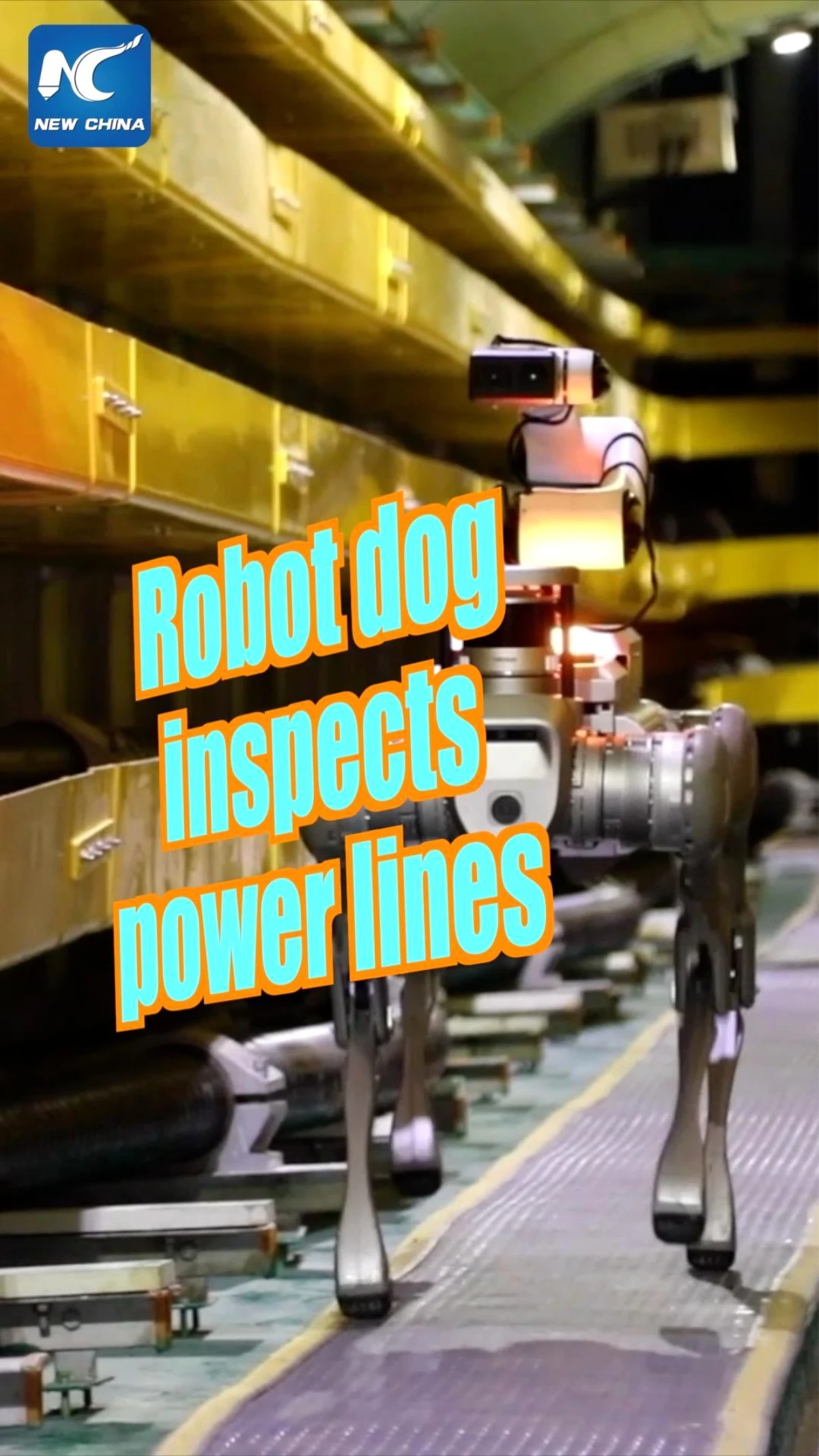 Beijing\'deki enerji tesislerinde robot köpekler görev yapıyor