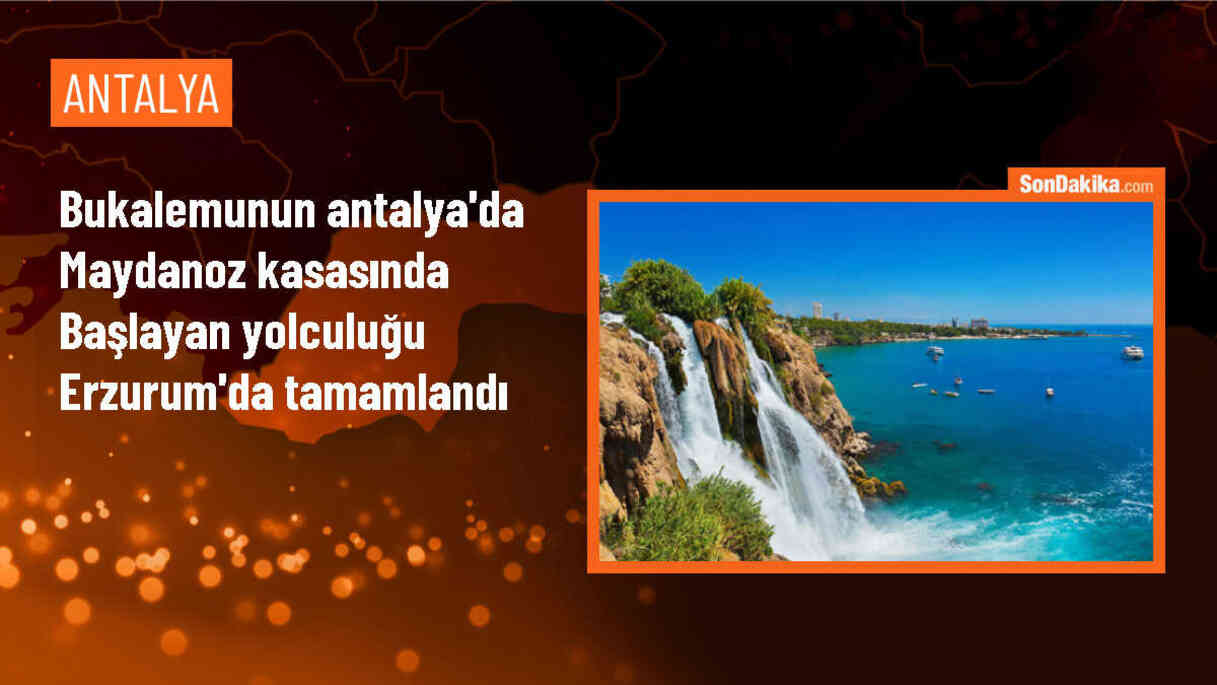 Antalya\'dan Erzurum\'a gönderilen maydanoz kasasına giren bukalemun 1200 kilometre yol kat etti