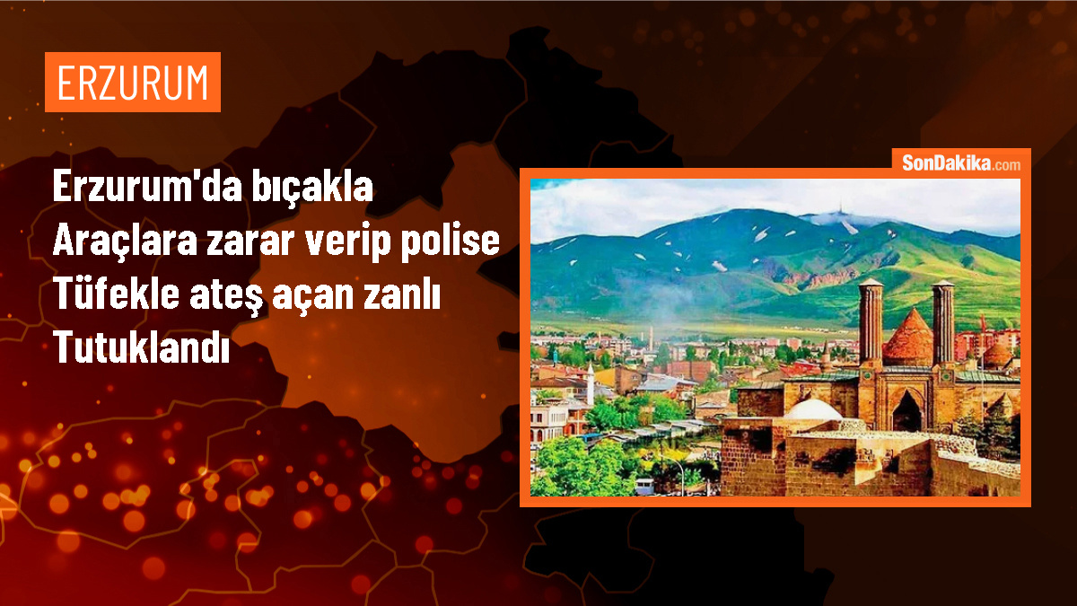 Erzurum\'da bıçakla araçlara zarar verip polise tüfekle ateş eden zanlılardan biri tutuklandı
