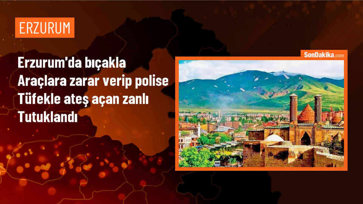 Erzurum\'da bıçakla araçlara zarar verip polise tüfekle ateş eden zanlılardan biri tutuklandı