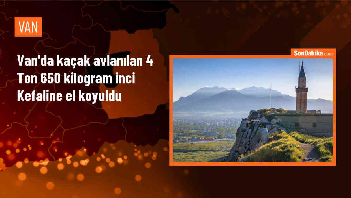 Van\'da Kaçak Avlanan 4 Ton İnci Kefali Ele Geçirildi