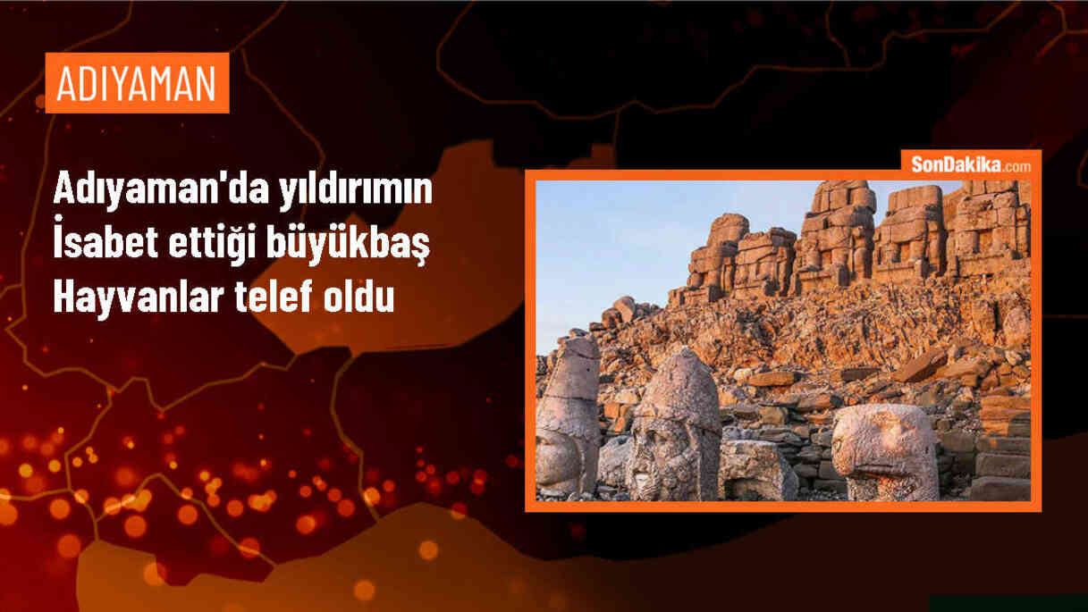 Çelikhan\'da Yıldırım İsabet Eden 5 Büyükbaş Hayvan Telef Oldu