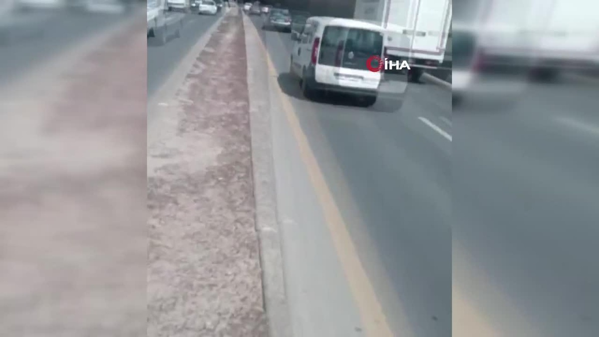 Ankara\'da yol kenarında mahsur kalan yavru kediyi şoför kurtardı