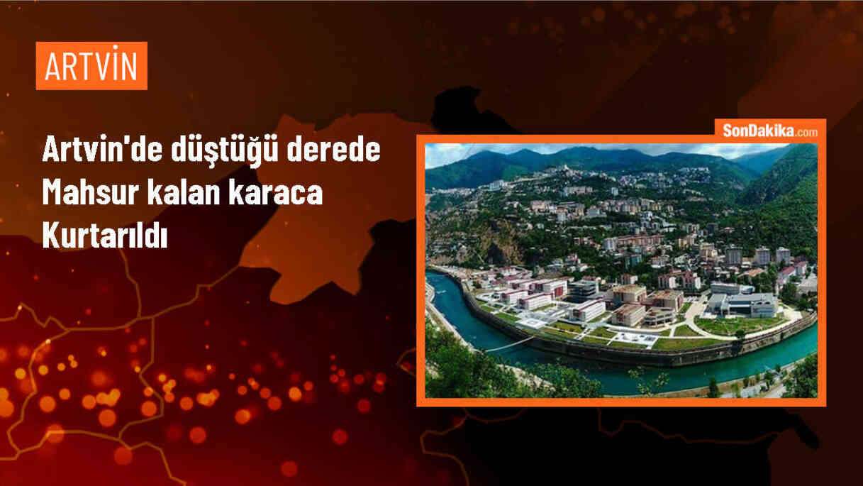 Artvin\'de mahsur kalan karaca itfaiye tarafından kurtarıldı