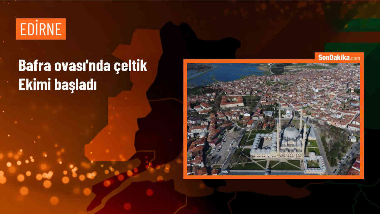 Bafra Ovası\'nda Çeltik Ekimi Başladı