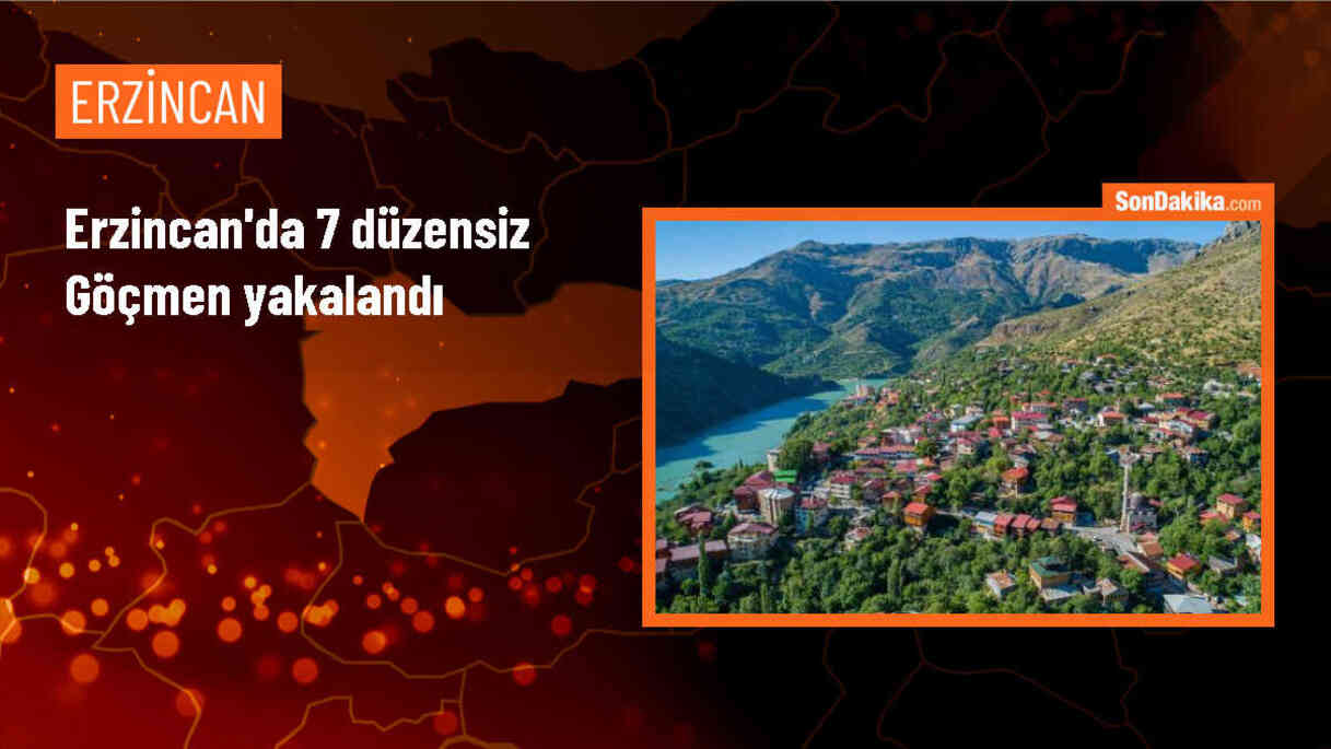 Erzincan\'da durdurulan araçta 7 düzensiz göçmen yakalandı