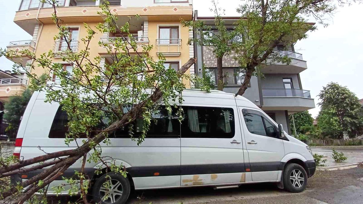 Düzce\'de Fırtına ve Yağmur Hayatı Olumsuz Etkiledi