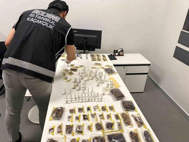 Dünyaca ünlü müzenin müdürüne İstanbul'da gözaltı! Bin 500 zehirli hayvan ele geçirildi