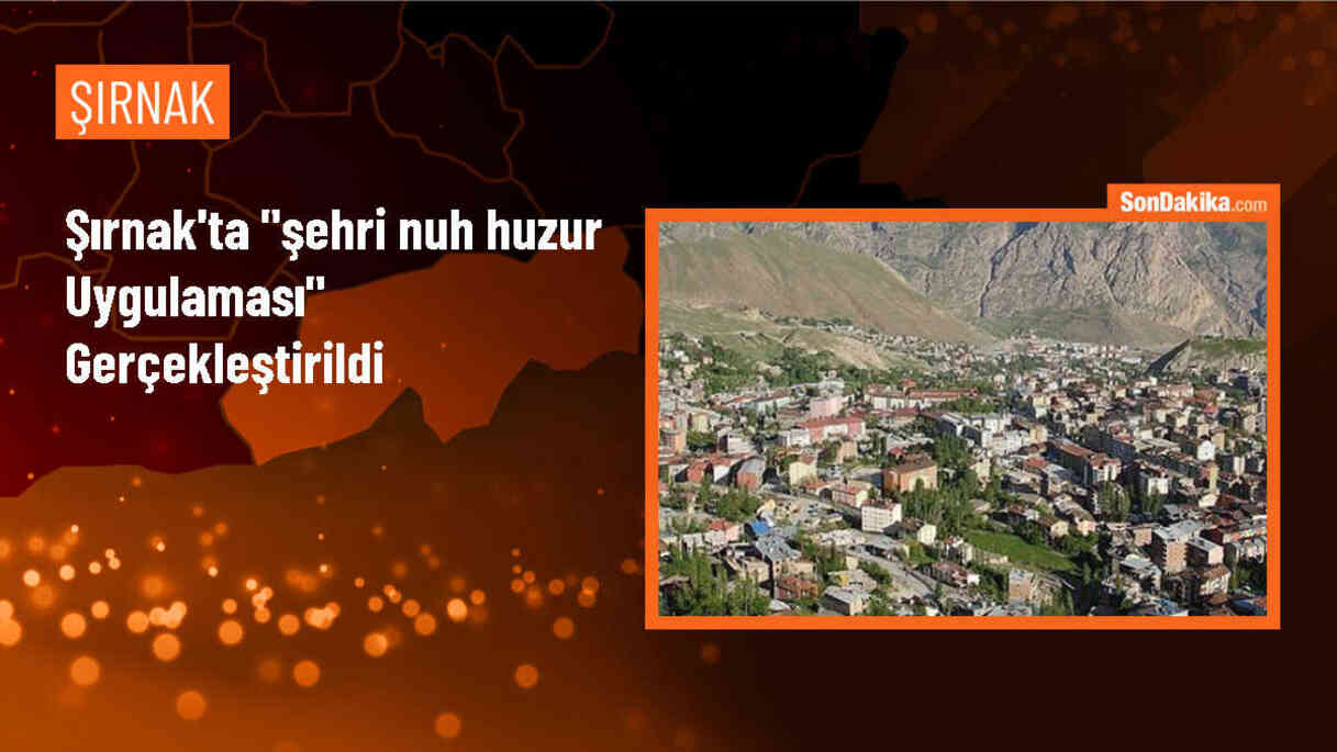 Şırnak\'ın Cizre ilçesinde 1254 polisin katıldığı \'Şehri Nuh Huzur Uygulaması\' yapıldı