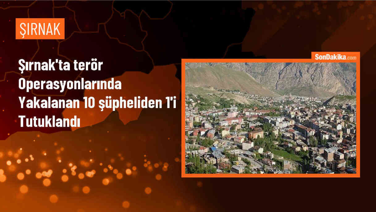Şırnak\'ta terör operasyonunda 1 kişi tutuklandı