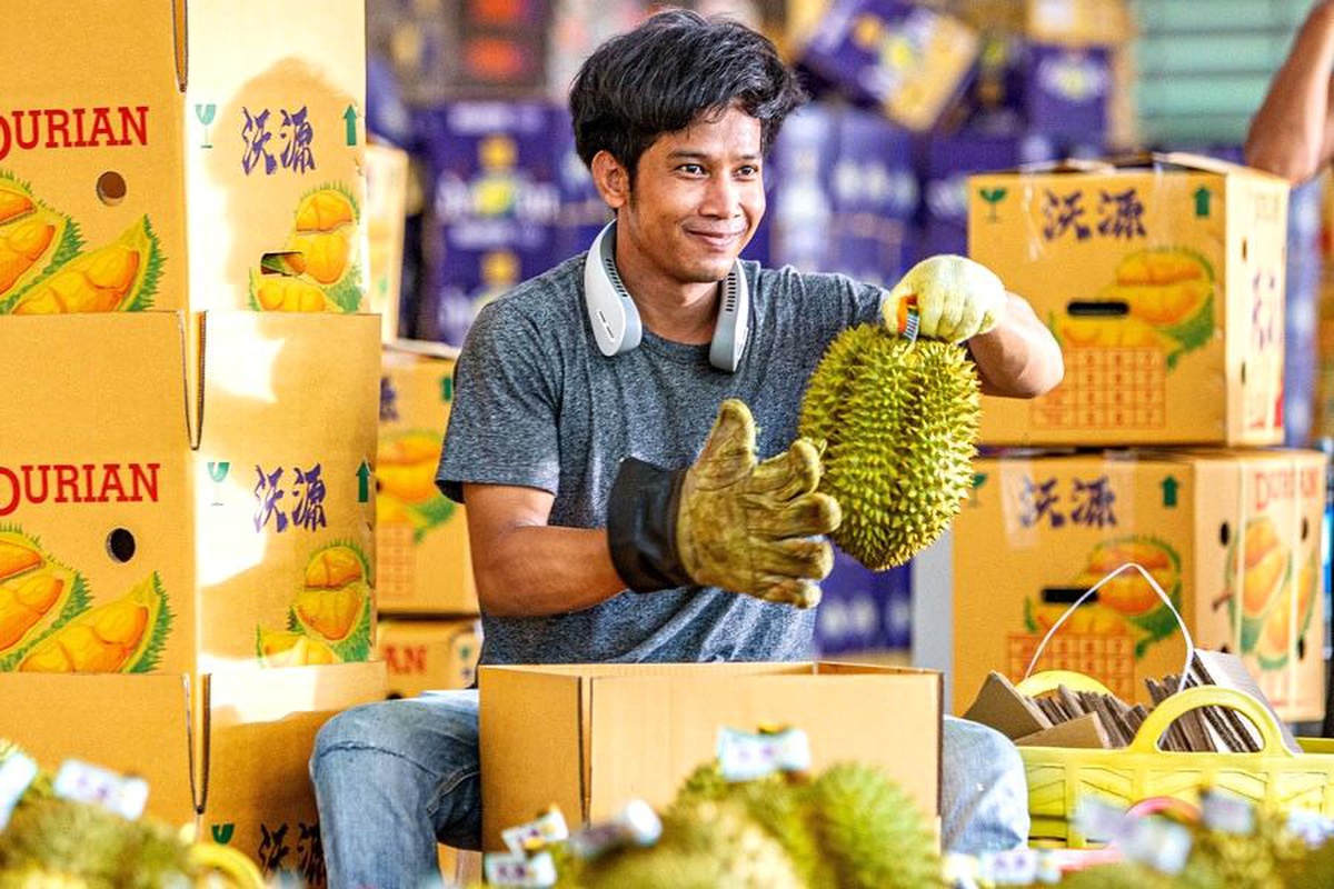 Tayland, Çin\'e Durian İhracatında Lider Konumda
